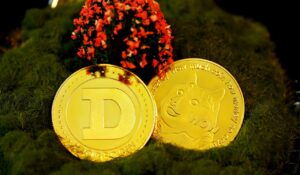 Dinar Chro Unveiled: What You Need to Know Before Investing